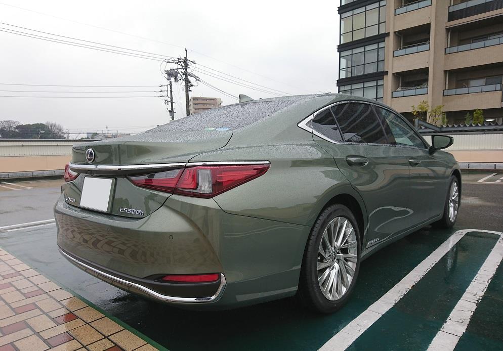 200312ES (10).JPG